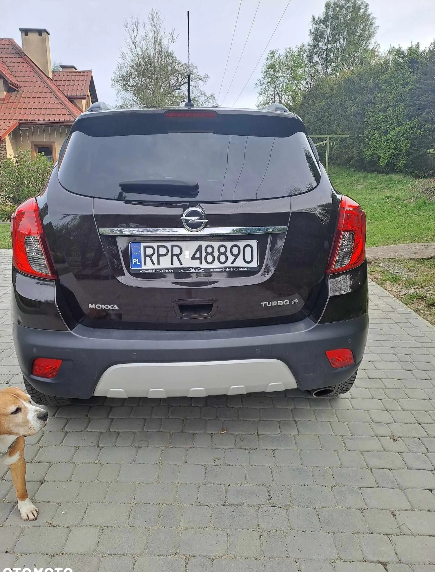 Opel Mokka cena 46000 przebieg: 117000, rok produkcji 2013 z Sokołów Małopolski małe 22